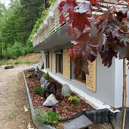 Apartament W Sosnowym Zakatku