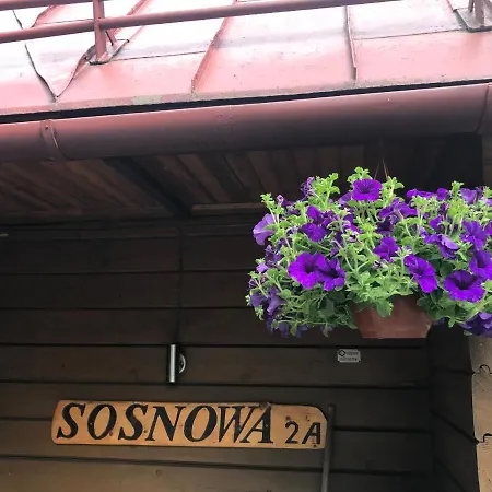 公寓 Apartament W Sosnowym Zakatku 维斯拉